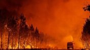 Горски пожари са опустошили рекордно големи площи в ЕС тази година