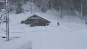 Обилен снеговалеж в Северна Япония блокира движението и взе 3 жертви