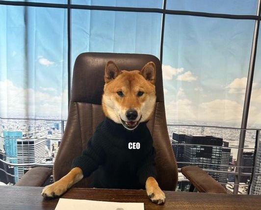 Мъск "назначи" куче за главен изпълнителен директор на Twitter