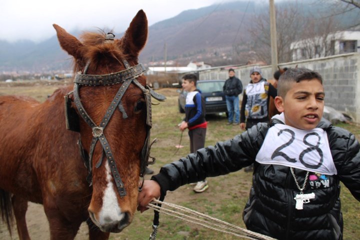 12-годишният Ангел Славов с кон Вихър спечели кушията за Тодоровден в Дупница.
