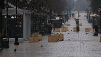 Паднали дървета в София заради силния вятър. Жълт код в още градове