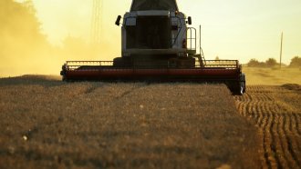 Зърното продължава да поевтинява по световните борси