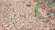 Фермерите в Южна Франция ще отправят молитва за дъжд