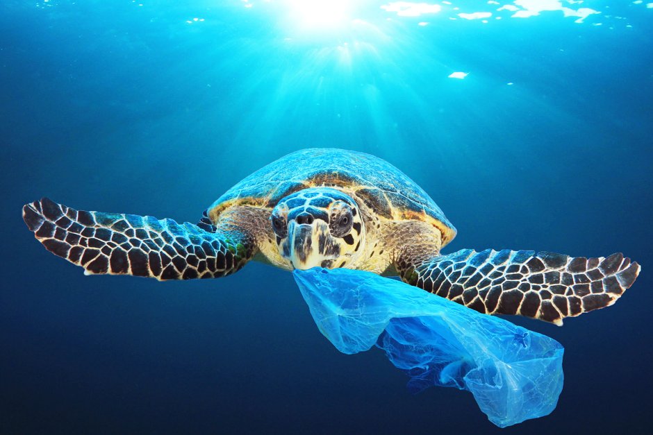 Г-7 се ангажира с прекратяване на замърсяването с пластмаса до 2040 г.