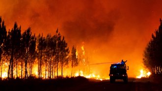 Първи голям горски пожар в Испания за тази година опустоши площ от над 3000 хектара