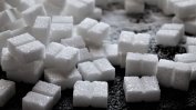 Захарта стигна 11-годишен връх и цените ще растат още заради екстремното време