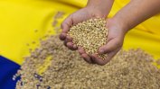 По-високи цени на зърнопроизводителите, докато се борим за по-евтини храни на пазара