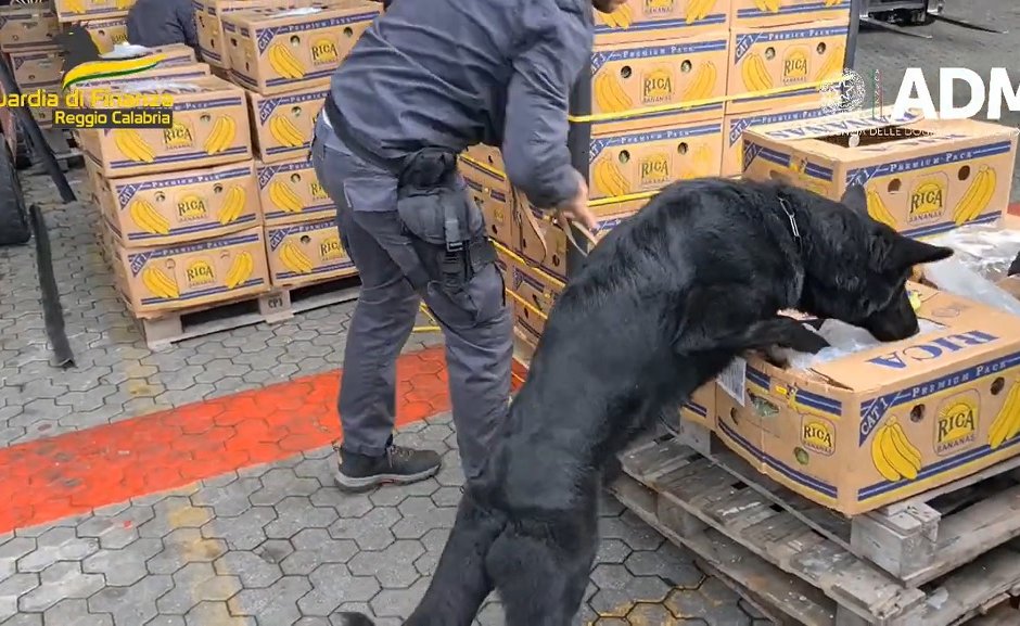 Италианската полиция откри кокаин за 800 млн. евро в контейнери с банани