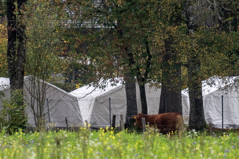 Австрия, временен лагер за мигранти. Снимка:ЕПА/БГНЕС