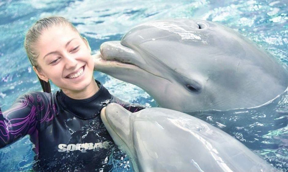 Плуването с делфини е любима атракция на варненци и гостите на морската столица, сн. Делфинариум