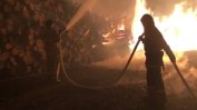 Пожар в Русия отне живота на един човек и изпепели десетки домове