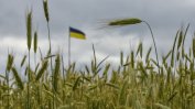 EК готви удължаване на забраната за украинско зърно до 15 септемри