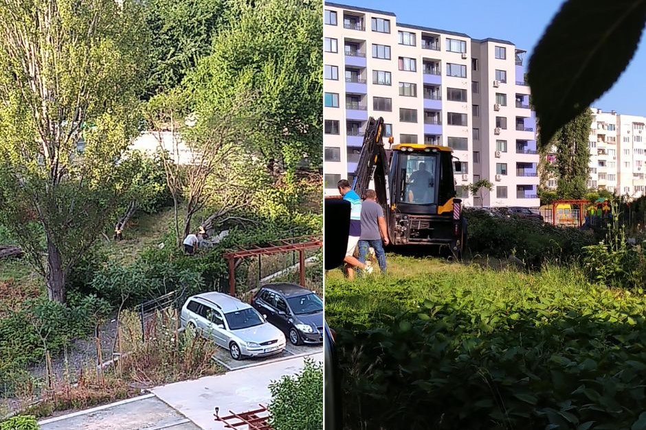 Граждани изпратиха снимки от започналото разчистване на дърветата до бл. 29 в "Овча купел", където е планирано изграждането на нова жилищна сграда.
