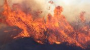 Разраства се нов пожар в Източните Родопи