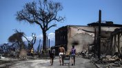 Броят на загиналите в пожарите на хавайския остров Мауи достигна 80, а 1000 души са в неизвестност