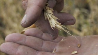 Украйна ще съди Полша, Унгария и Словакия заради забраните за украинско зърно