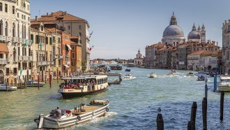 Венеция предупреди туристите да се пазят от агресивни чайки