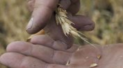 Украйна ще съди Полша, Унгария и Словакия заради забраните за украинско зърно