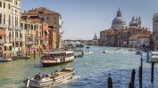 Венеция предупреди туристите да се пазят от агресивни чайки