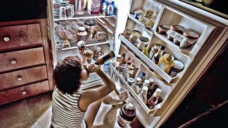 ЕС забранява фреона в хладилника от 2050 година