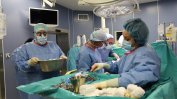 С трета донорска ситуация за седмица продължава подемът при трансплантациите
