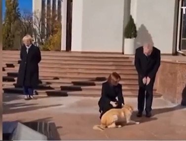 Кучето на президентката на Молдова ухапа гостуващия австрийски президент