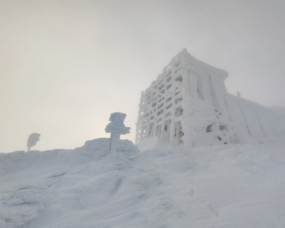 Най-малко десет души загинаха при зимните бури в Украйна