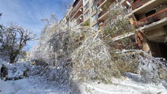 Авариите на ток в снега са и заради забраната ЕРП да режат клони край мрежата