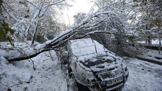 След снега: София е проходима, разчистват счупени клони, дървета и  вътрешноквартални улици