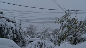 Жители на Кюстендил протестираха заради честите спирания на тока