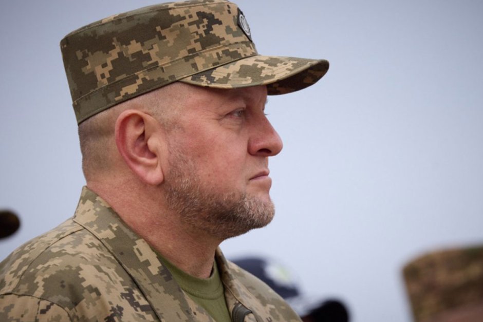 Валерий Залужни