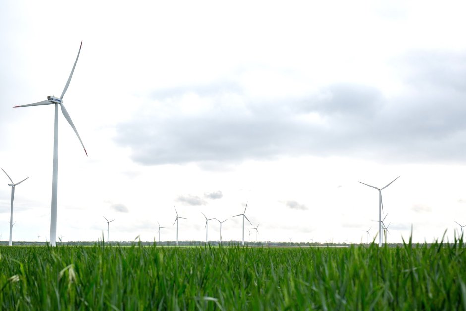 Ветропаркът край Каварна започна годината с ръст на производството на ток, сн. "Ей И Ес" 