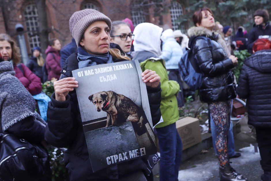 Преди две седмици граждани протестираха пред Столичната община заради лошите условия в приюта за бездомни кучета във Връбница. Сн. БГНЕС