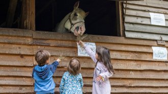 Как конната езда помага на деца със специфични потребности