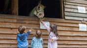 Как конната езда помага на деца със специфични потребности