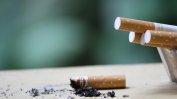 Над 40 хил. кутии контрабандни цигари са задържани на "Лесово"