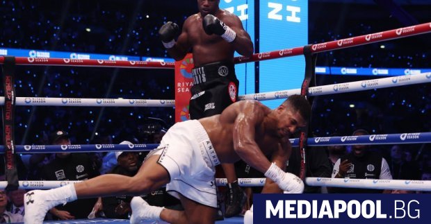 Daniel Dubois assomme Anthony Joshua à Londres (photos et vidéo) Daniel Dubois assomme Anthony Joshua à Londres (photos et vidéo)