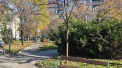 Смъртта, скрита зад туите. Прикриването на отровния въздух в България