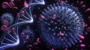 Учени бият тревога: Светът е изправен пред нова заплаха - огледални форми на живот