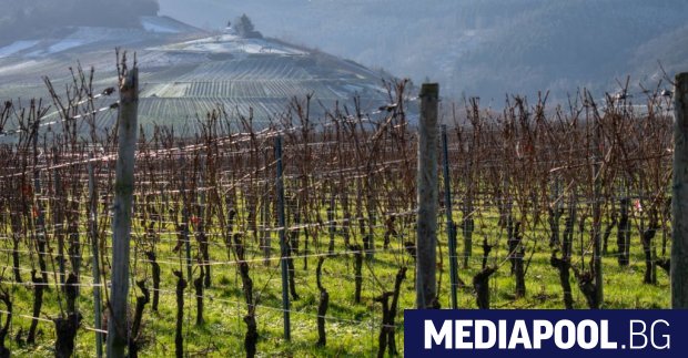 Когато президентът Доналд Тръмп отправи заплахата си за 200 мито