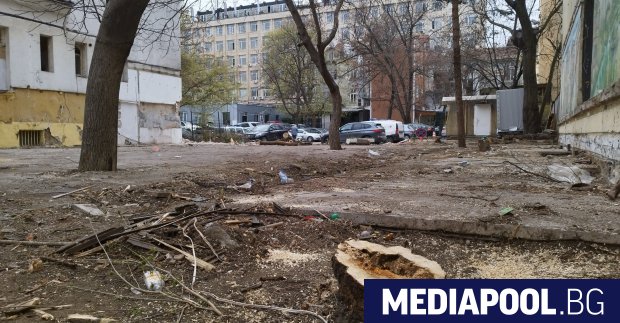 Дворът на ресторанта Синият лъв в центъра на София е