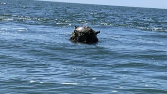 Русия и САЩ ще обсъдят ситуацията в Черно море