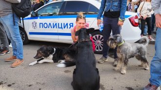Граждани протестираха срещу насилието над животни 3 https://netnews.bg/wp-content/uploads/2025/03/grazhdani-protestiraha-sresthu-nasilieto-nad-zhivotni-2.jpg medium 7e81ad5b6fd5f10f6e079a7311d68c3e https://netnews.bg/wp-content/uploads/2025/03/grazhdani-protestiraha-sresthu-nasilieto-nad-zhivotni-2.jpg