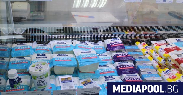 Държавната млечна компания Ел Би Булгарикум ще изгради фотоволтаична централа