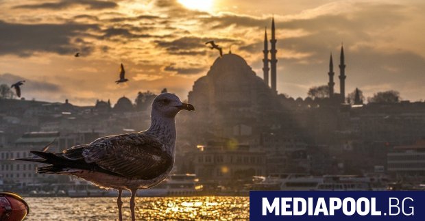 Земетресение с магнитуд 6 2 бе регистрирано в района на