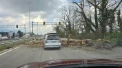 Сакскобургготски: Парк "Врана" умира в ръцете на държавата