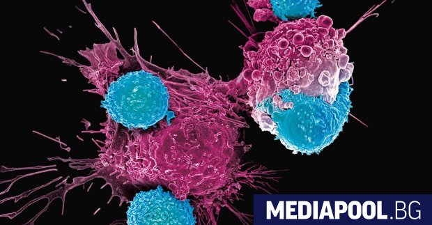 Когато Брус Ливайн и колегите му започват опитите да проектират