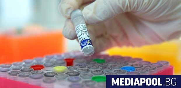 Български лекарски съюз БЛС заяви в сряда че отново е