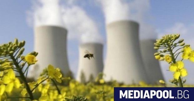 Белгийският парламент гласува с голямо мнозинство за прекратяване на поетапното