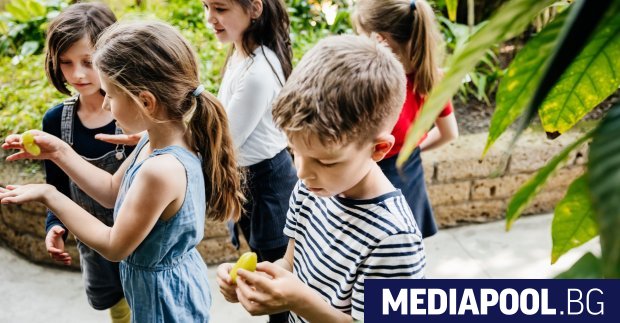 Спад в детската смъртност и ръст на имунизациите – добри